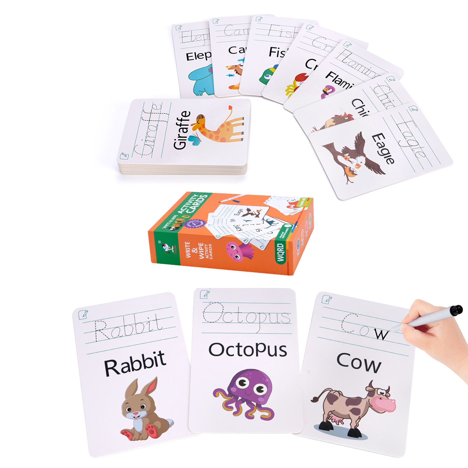 Kids Education Words - Flash Cards Alphabet Writing Tranning Flash